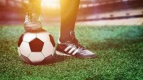 神殿娱乐 产品 220257 p2t